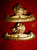 M45 - Northern Pioneers Officer's Gilt Collar Badge Pair